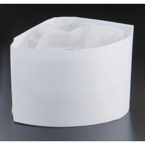  N[nbg ؖXq(10) YS-12E SHT6001