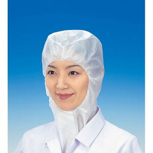 V I[^C łłX(50) CA-105 coȂ݊^ SBU4801yz