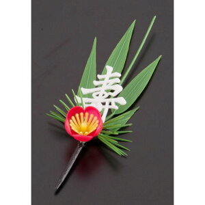 n veBt[ S-3W t|~ (200) XPL04yz