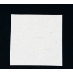 A[ebN j[lG 5(100) NS-65 n QKIJ701