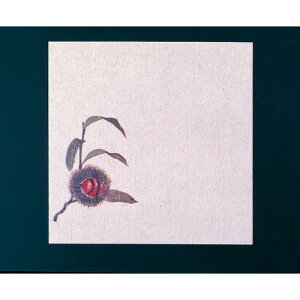 }R[ O~5(100)I QGL05yz