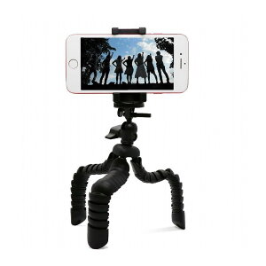 GR X}[gtHptLVuOr P-STFLBK(s)