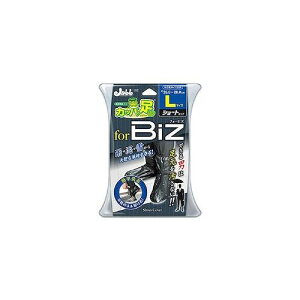 vX^bt ԗp ԗpi gїpJbp̑rYL P157