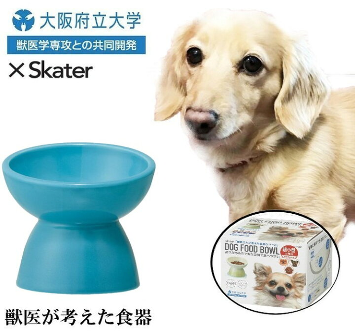 楽天市場 スケーター 超小型犬用 食器 陶磁器製 ペット餌入れ マット付 ミント Chob1 ペット 犬 猫 食器 餌 ごはん 餌箱 エサ入れ お皿 優しい 体 負担 軽減 送料無料 リコメン堂生活館