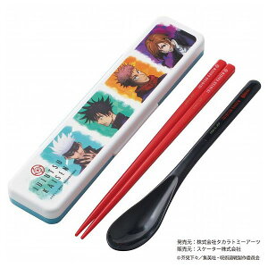 XP[^[ CIR  Xv[ RrZbg J`J`Ȃ p CCS3SAAG Skater