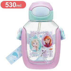 AiƐ̏25 XP[^[ vbV Xg[  530ml vX`bN AiƐ̏25 PDSH6DX Skateryz