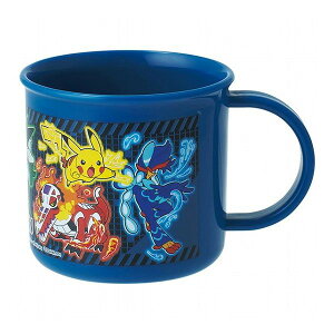 |P25 CIR H@Ή vRbv |P25 XP[^[ Skater KE4AAG LN^[  킢