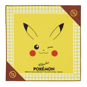 |P sJ`E tFCX  `NX NX 43cm ٓp   ȒP ֗ KBST43 LN^[ XP[^[ skateryz