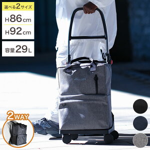 T[ ROLSER TSHOP 2WAY obNpbN L[J[g VbsOJ[g 29L ~Wbp[ ݉\TCY  ܂肽 360x] ^Ct g  rWlX oy