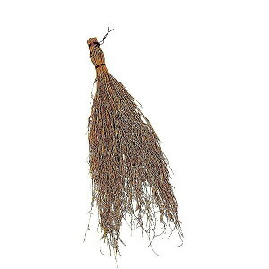 ���� OWL #254 �~�j�|�z�E�L