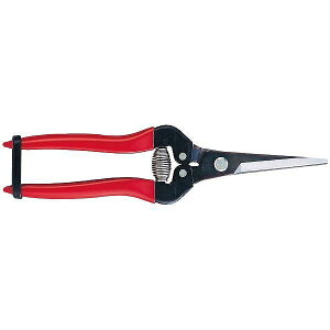 AX AX 300LL-BP EʃGNXgOyz