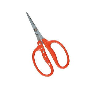 ߐ ߐ B-500SF XetbfԂǂ BPyz