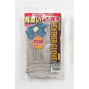 �����ӂ���� ���w�D�����Ȋv��� #480(����s��)