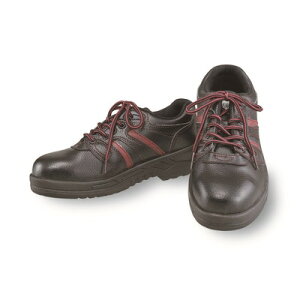 ӂ SV[YZC^Cv JW-750(s)yz