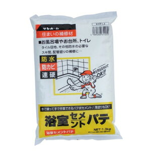 Tz[ Zgpe(F) 1.3kg KYP1.3(s)