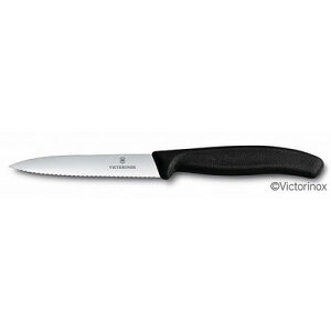 victorinox VTNX yeB[iCt gnubN10cm #6.7733E #6.7733-X1(s)yz