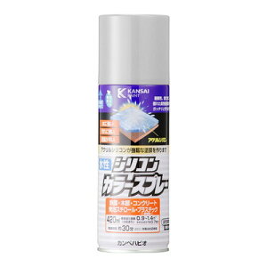 JynsI VRJ[Xv[ Vo[ 420ML #00507655252420(s)