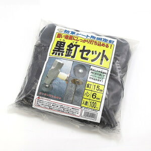 SNAO[ BZbg 100Zbg(s)yz