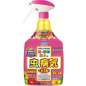 �t�}�L���[ �t�}�L��- �J�_���v���XDX 1000ml(����s��)