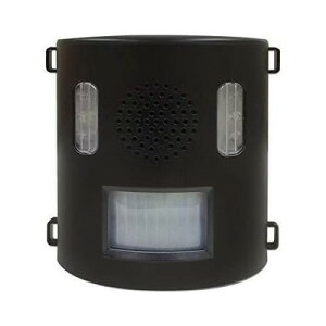 CeWp Ce Qbފ AjoN IJ-ANB21(s)yz