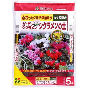 Ԃ Ԃ K[fVNVN̓y 5L(s)