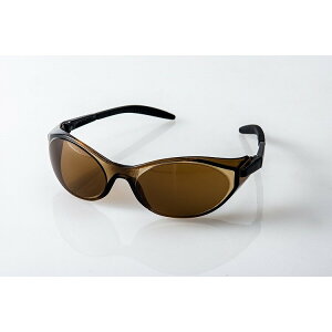 ŃMl쏊 AJX^CSS[O #2721-BR(s)