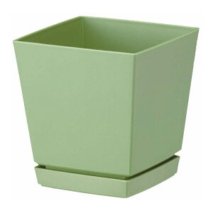 �N�G���`���[�|�b�g�v���[�g�t 5�� �A�b�V���O���[�� ��a�v���X�`�b�N(����s��)