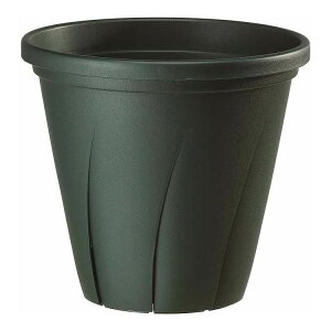 ͂蔫 10 _[NO[ avX`bN(s)