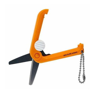 �C�g�[ �~�j�X���C�h�͂��� �I�����W �{�[���`�F�[���t 18780(����s��)