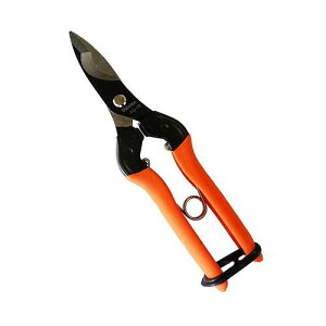 ͂ DIY H Ɩ YƗp _Ɨp _ p ΂ T{e No.AG-19(s)yz