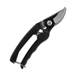 |  K[fjO |pi p ΂ CRAL N180B(s)