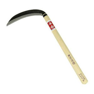 ��g ������ 210MM(����s��)