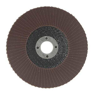 SK11 �T���_�[�f�B�X�N �A���~�i#60 10�� SSD-A600/10(����s��)