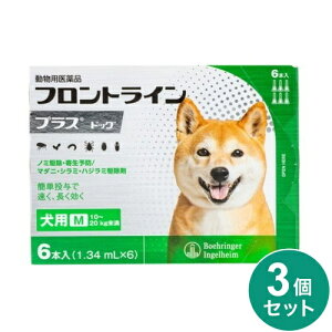 y3Zbgz tgC p M 10~20kg 6{ m~ a _j nW~ 쏜 쏜t pi ybgpi ^ ^ tgCvXhbOyz