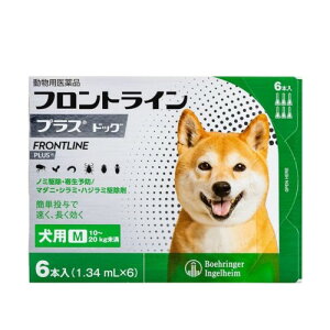 ypiz tgC p M 10`20kg 6{ m~ a _j nW~ 쏜 쏜t p ybgp i ^ ^ tgCvXhbO(s)y[֔z