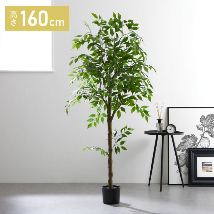 楽天市場】フィカス 観葉植物 フェイクグリーン 高さ160cm 人工観葉 