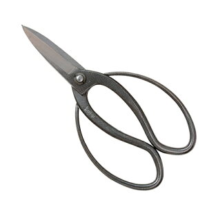 g]EXeXnvE200MM |FFA؁E~yz