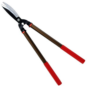 E|ValueELk͌^EEG-1000 |FFLkyz