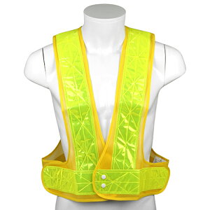 SK11E˃xXg]bV^CvEnVUC]L [HFیESpiFSpi