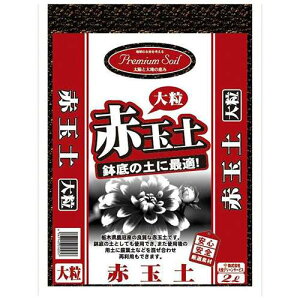 GS v~A\Cԋʓy 嗱 2L