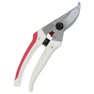 K[f TbN SGP-43 K[fjO |pi  }؂ ͂