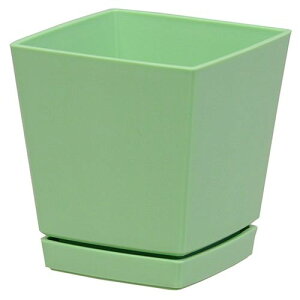 ���}�g �N�G���`���[�|�b�g 5�S�E-�A�b�V���O���[��