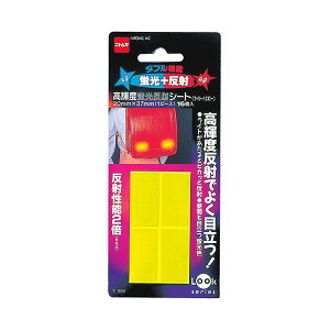 u˃V[gCgCG[ T0751