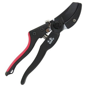 GF WObv} SGFP-6 K[fjO |pi  }؂ ͂