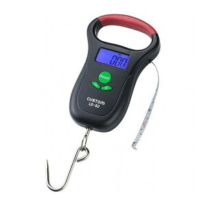 CUSTOM hH݂͂ LS-50yz