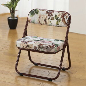 ֎q ܂肽ݎ 1r y Su  NbV w ChTCY ʍ32cm i ^ N(s)yz