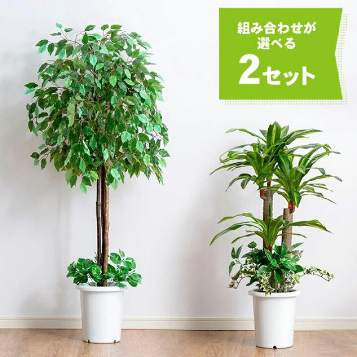 楽天市場 観葉植物 インテリアグリーン 2点セット ベンジャミン 幸福の木 鉢ポット付き 光触媒加工 人工観葉植物 水やり不要 オフィス 事務所 お店 自宅 フェイクグリーン 代引不可 送料無料 リコメン堂生活館
