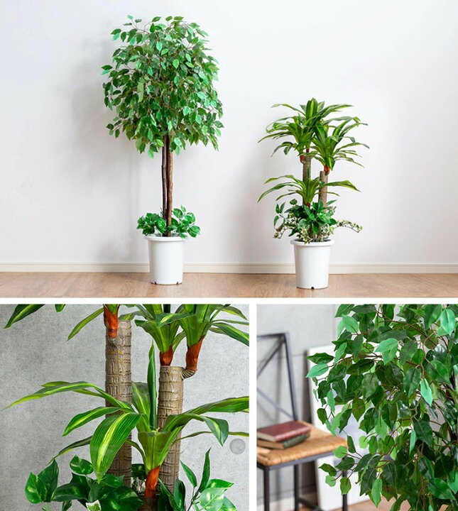 楽天市場 観葉植物 インテリアグリーン 2点セット ベンジャミン 幸福の木 鉢ポット付き 光触媒加工 人工観葉植物 水やり不要 オフィス 事務所 お店 自宅 フェイクグリーン 代引不可 送料無料 リコメン堂生活館