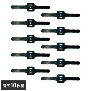 [dR[hX3WAY@ p iC ւn 10g ֐n̂   K[f |(s)yz