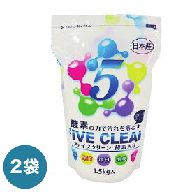 ファイブクリーン 2袋 日本製 洗浄 除菌 漂白 消臭 脱脂 FIVE CLEAN(代引不可)【送料無料】